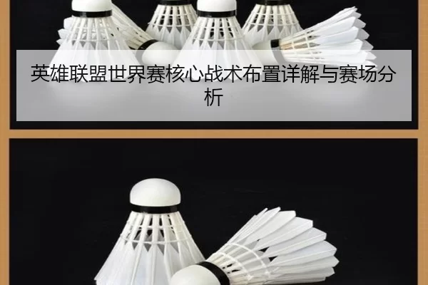 英雄联盟世界赛核心战术布置详解与赛场分析